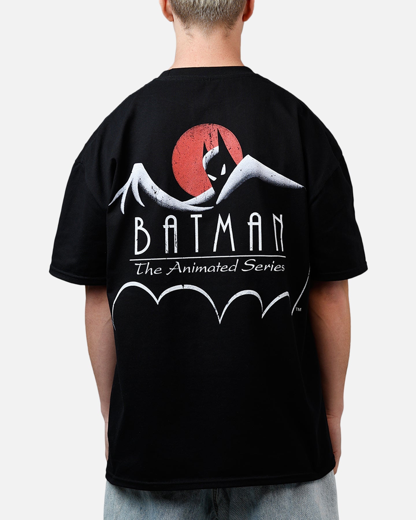 73Studio X DC 1992 Batman And Robin Heavyweight T-Shirt Black